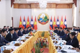 Vietnamese PM holds working session with Lao counterpart