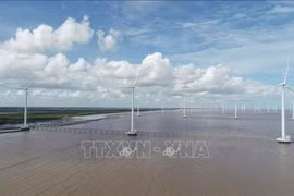 Norway eyes cooperation with Vietnam in offshore wind power