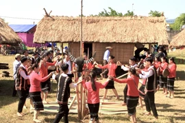 Binh Dinh to host fourth cultural ethnic culture festival in September