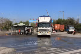 Measures taken to curb cross-border poultry smuggling