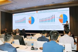 Vietnamese, Norwegian enterprises envisage a future of clean energy​