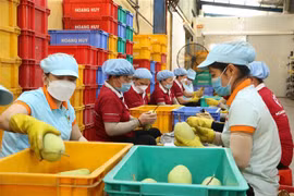 Officials seek to boost agricultural trade between Vietnamese, Chinese localities