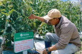 VinaCapital Ventures pours 1 million USD into agritech startup