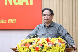 Quang Ngai advised to focus on processing-manufacturing development 