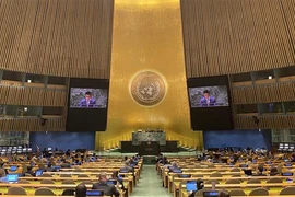 Vietnam makes active, responsible contributions to IAEA’s activities