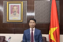 Hong Kong firms seek more cooperation opportunities in Vietnam