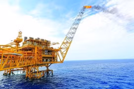New strategic orientations for Petrolimex suggested