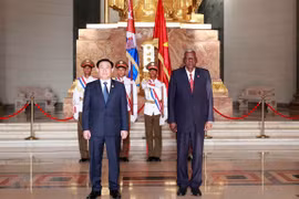 NA leader’s Cuba visit a success beyond expectations: expert
