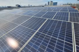 Vietnam accelerating clean energy transition: Indian research intern