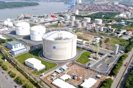 Vietnam affirms role in global LNG market: US site