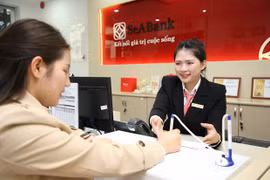 ADB doubles credit limit for SeABank to 60 million USD