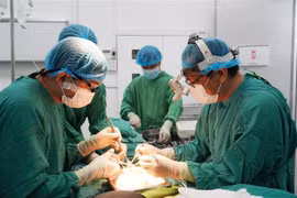 Single donor provides the gift of life for transplant patients