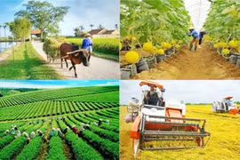 More special mechanisms proposed to speed up national target programmes