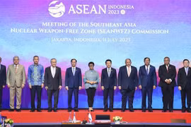Vietnam attends meetings of SEANWFZ Treaty Commission, AICHR