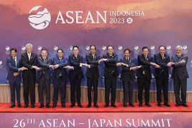  ASEAN-Japan relations thrive over 50 years