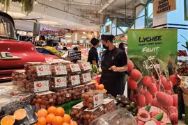 Bac Giang lychees enter Thailand’s major shopping malls