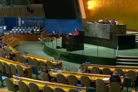 Vietnam underlines need to implement judgments by int’l judicial bodies