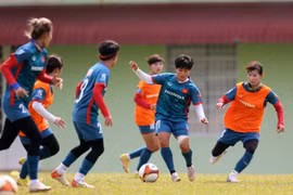 Vietnam have to work hard to beat Cambodia in semifinal: head coach