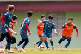 Vietnam have to work hard to beat Cambodia in semifinal: head coach