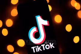 Ministry plans inspection of TikTok in May