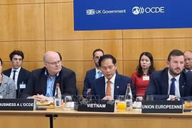 Foreign Minister highlights Vietnam’s determination for green transition