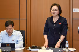 New salary reforms take huge effort of political system: minister