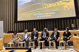UNDP one of Vietnam's most important partners on development path: ambassador