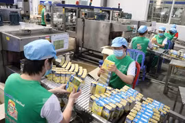Nearly 5,800 new enterprises established in Binh Duong in 10 months