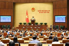 Lawmakers to vote on resolution on law and ordinance making programme