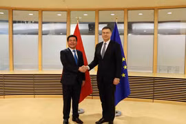 EU sees Vietnam as vivid demonstration of EVFTA success