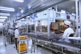 Korean expert upbeat about RoK-Vietnam economic cooperation
