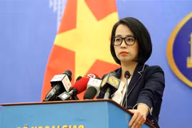 Vietnam urges immediate ceasefire in Israel - Hamas conflict zone