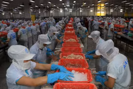 Weakening demand continues to dog Vietnamese firms