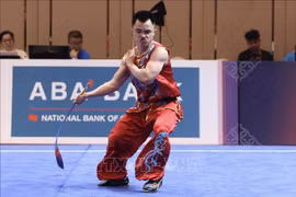 Vietnam wushu team bags another gold medal