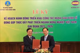 Economic diplomacy to be promoted to fuel agricultural development