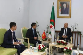 Vietnamese, Algerian parties bolster relationship 