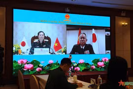 Vietnam, Japan discuss ways to boost defence ties