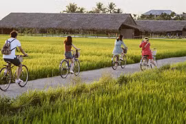 Vietnam needs new regulations to develop agri-tourism real estate: experts
