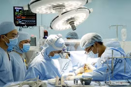 HCM City leaders extend greetings to outstanding doctors ahead of Doctors’ Day