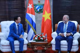 Deputy PM Tran Hong Ha meets Cuban PM