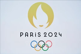 Vietnamese athletes to receive 1 mln USD for Paris Olympic gold