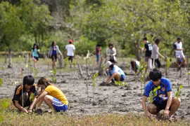 Thailand applies Sweden’s models to expand forest area