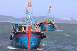 Ministry inspects IUU, disaster prevention in Phu Yen