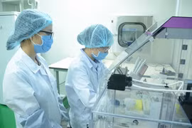Vietnam helped with DNA-based identification of martyrs 