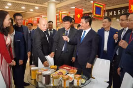 Vietnamese culture, products shine in Russia