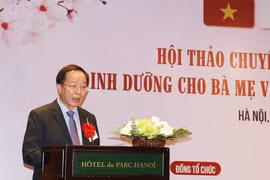Vietnam - Japan workshop seeks to improve nutrition among mothers, childen