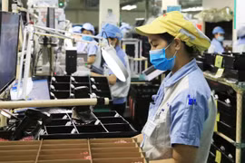 Foreign SMEs pour capital into Vietnam