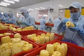 Fruit, vegetable exports see high potential, tough requirements