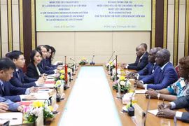 Côte d’Ivoire leader suggests specific activities in transport cooperation with Vietnam