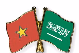 Vietnam, Saudi Arabia expect new cooperation prospects